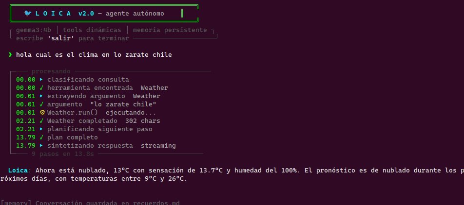 Captura de pantalla del proyecto Loica